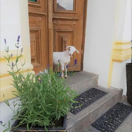 „am Stadtgraben“ Guest house Luebbenau