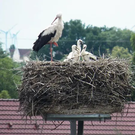 Séjour chez l'habitant 